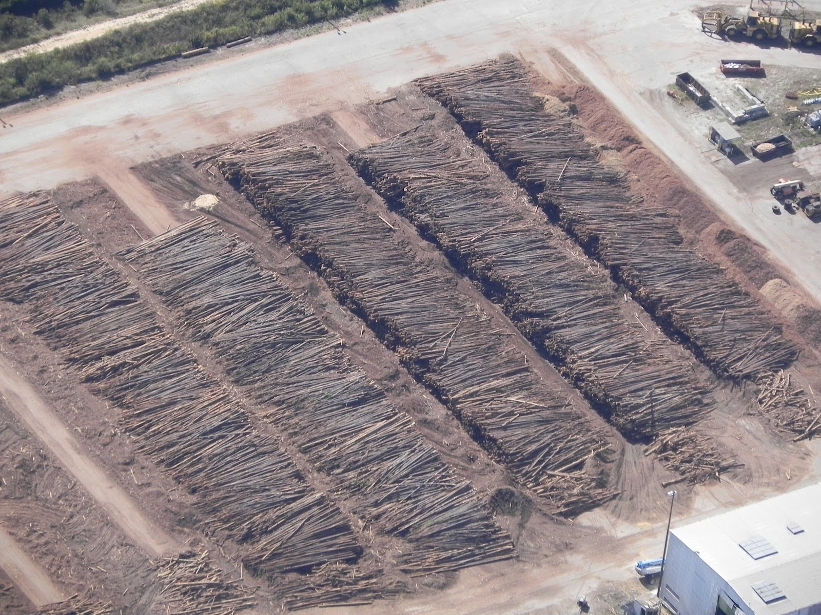 Biomass: False Promises of Renewable Energy