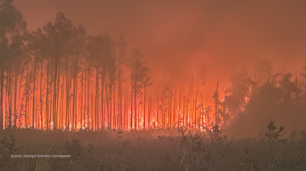 Georgia’s Triple Whammy from Climate Change, Hurricanes, and Wildfires
